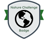 Solar Eclipse badge