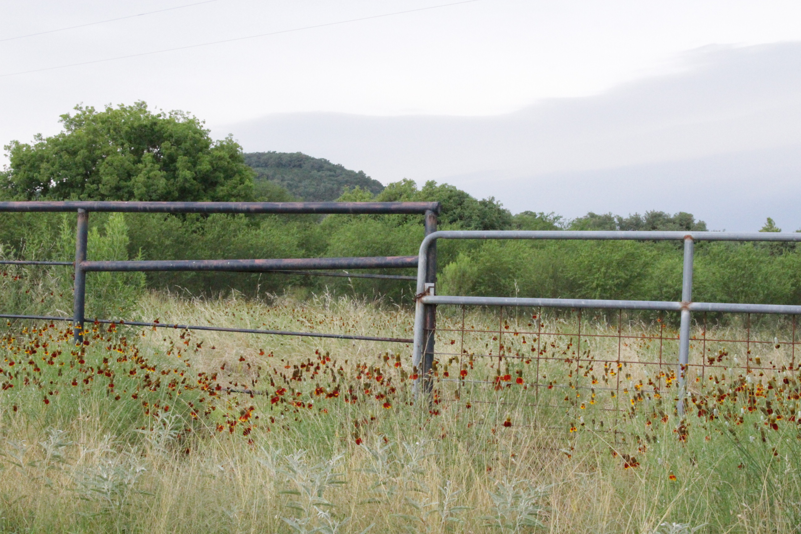Outdoors fence 2